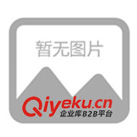 供應(yīng)SK-1.5B系列水環(huán)真空泵